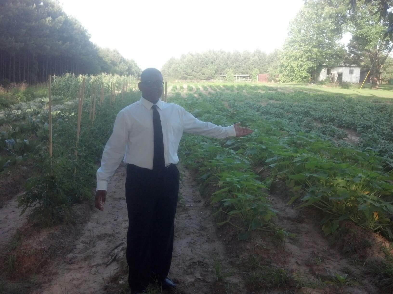 LSU: pea patch